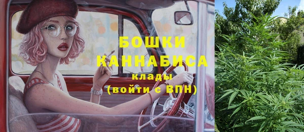 прущая мука Верея