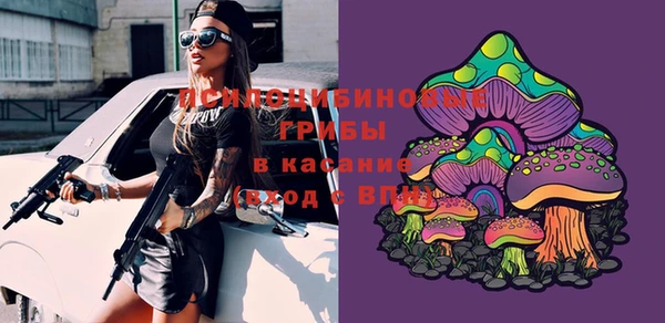 прущая мука Верея