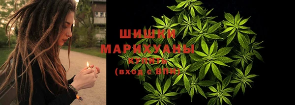 прущая мука Верея