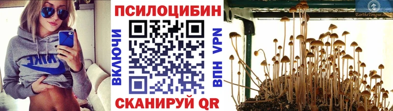 закладка  Новопавловск  Галлюциногенные грибы прущие грибы 